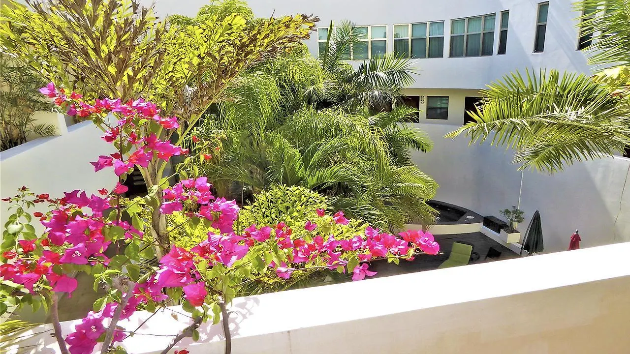 Royal Oasis Condo Cote Playa del Carmen Apartmán